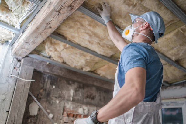 Best Residential Insulation Services  in Manito, IL