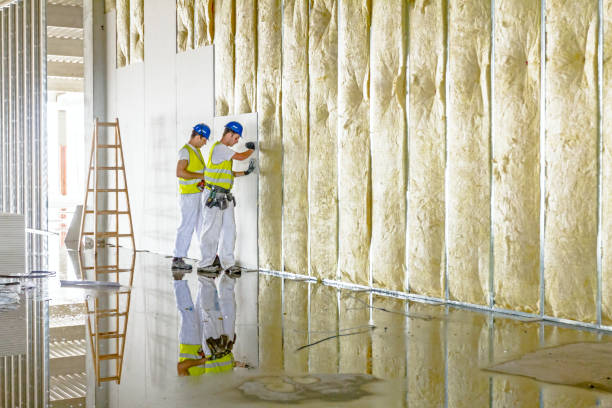 Best Commercial Insulation Contractor  in Manito, IL